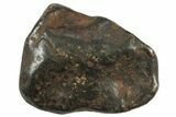 Canyon Diablo Iron Meteorites (6-8 Grams) - Arizona - Photo 4